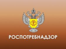 Об открытии в Управлении Роспотребнадзора по Воронежской области «горячей линии»  по качеству и безопасности  плодоовощной продукции  и срокам годности.