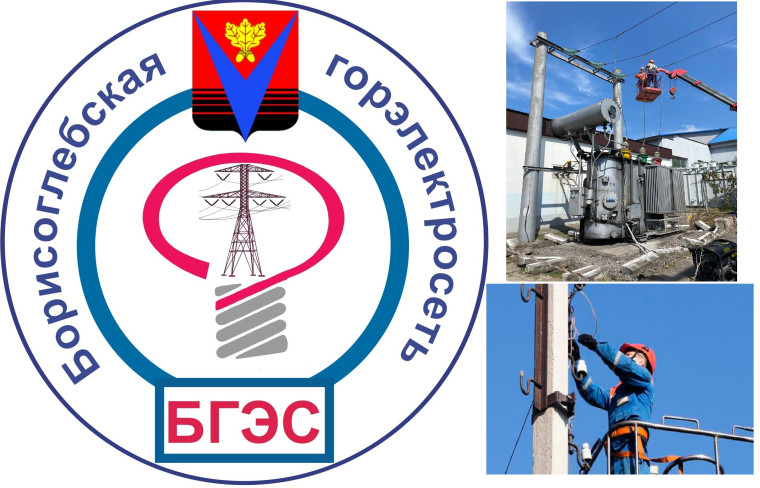 Проверка отдельных вопросов финансово-хозяйственной деятельности в МУП «Борисоглебская городская электрическая сеть». Проверка отдельных вопросов финансово-хозяйственной деятельности в МУП «Борисоглебская городская электрическая сеть».